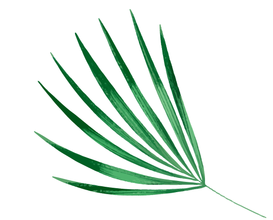 Beauty Coconut aix-en-Provence